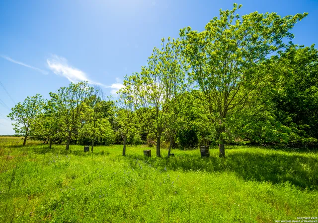 Photo 1 of Land for sale at 8263 Huber Rd, Seguin, TX 78155 | MLS# 1832547 | Listing updated on 2025-07-03