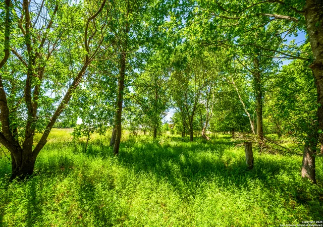 Photo 2 of Land for sale at 8263 Huber Rd, Seguin, TX 78155 | MLS# 1832547 | Listing updated on 2025-07-03