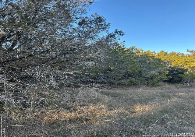 Photo 3 of Land for sale at 1145 Overbrook Ln, Spring Branch, TX 78070 | MLS# 1834198 | Listing updated on 2025-01-23