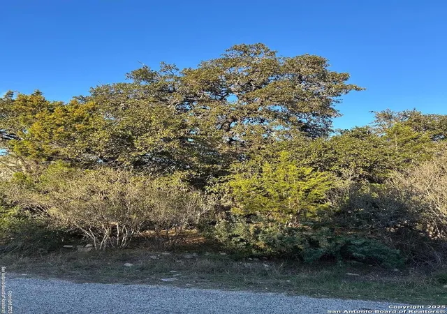 Photo 4 of Land for sale at 1145 Overbrook Ln, Spring Branch, TX 78070 | MLS# 1834198 | Listing updated on 2025-01-23
