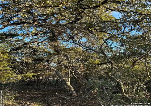 Photo 4 of Land for sale at 1151 Overbrook Ln, Spring Branch, TX 78070 | MLS# 1834199 | Listing updated on 2025-06-19