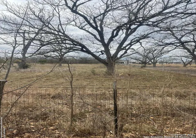Photo 3 of Land for sale at Tbd Cr 6712 County Road 6712, Natalia, TX 78059 | MLS# 1835388 | Listing updated on 2025-01-27