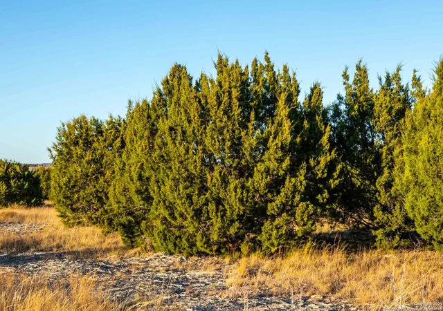 1st image of 000 Winecup Dr, Lampasas, TX 76550 | MLS# 1835458