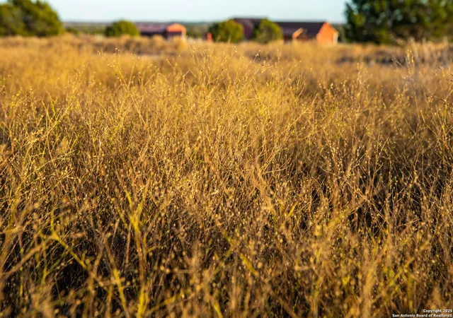 2nd image of 000 Winecup Dr, Lampasas, TX 76550 | MLS# 1835458