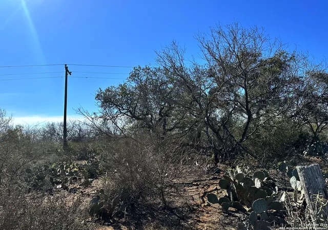 Photo 3 of Land for sale at Tbd Cr 663, Devine, TX 78016 | MLS# 1835499 | Listing updated on 2025-01-28