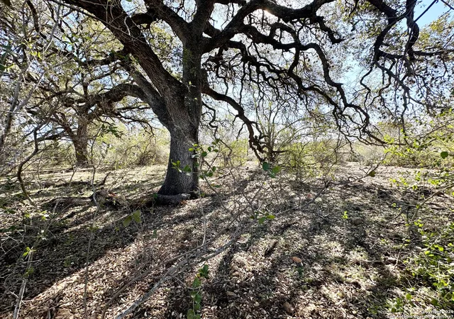 Photo 2 of Land for sale at Tbd Cr 663, Devine, TX 78016 | MLS# 1835499 | Listing updated on 2025-01-28