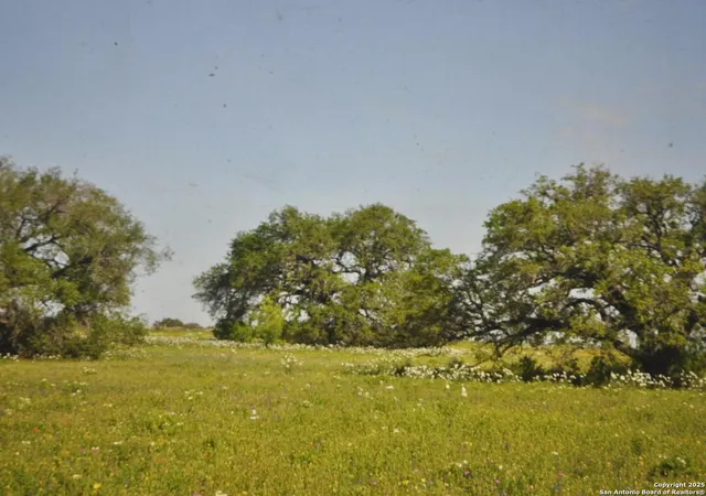 1st image of Tbd Cr 2615, Devine, TX 78016 | MLS# 1836074