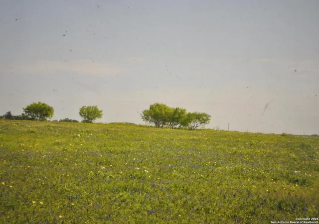 5th image of Tbd Cr 2615, Devine, TX 78016 | MLS# 1836074