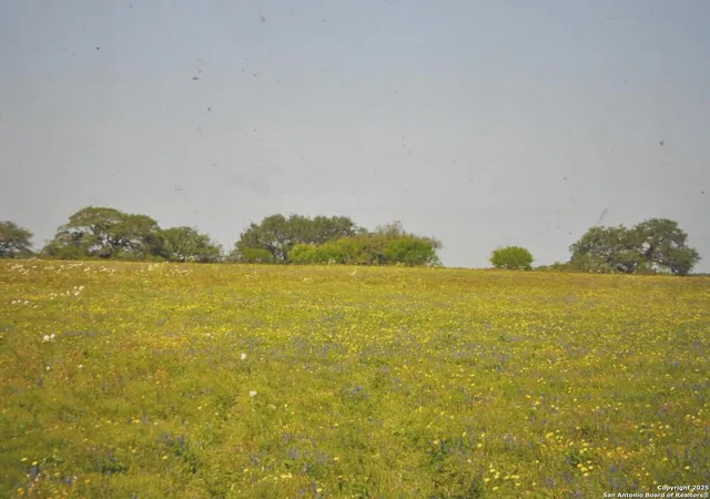 4th image of Tbd Cr 2615, Devine, TX 78016 | MLS# 1836074