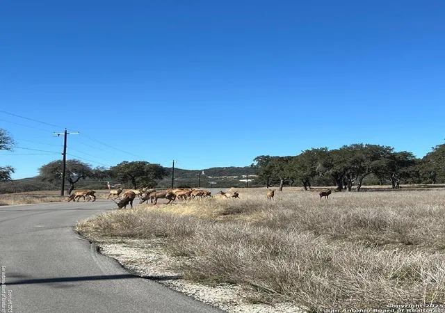 3rd image of Lot 58 Red Stag Lane, Pipe Creek, TX 78063 | MLS# 1836289
