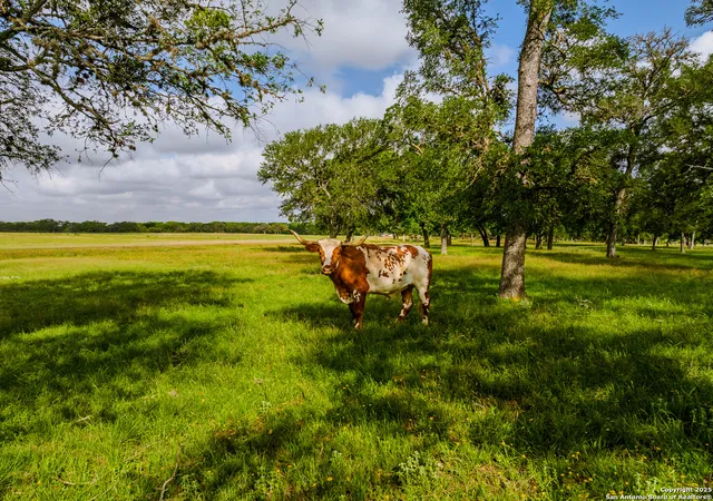 Photo 3 of Land for sale at Lot1 Cosper, Comfort, TX 78013 | MLS# 1836518 | Listing updated on 2025-05-20