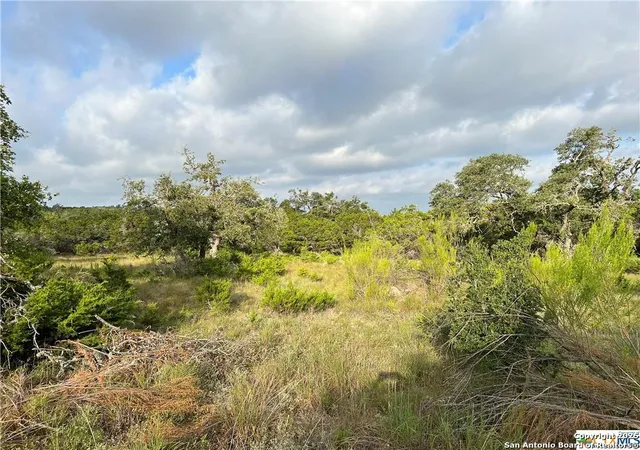 1st image of 1134 Madrone Road, Fischer, TX 78623 | MLS# 1837319