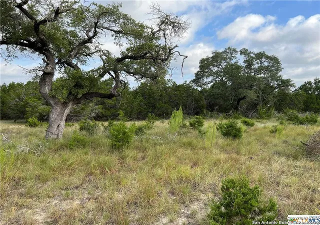 3rd image of 1134 Madrone Road, Fischer, TX 78623 | MLS# 1837319
