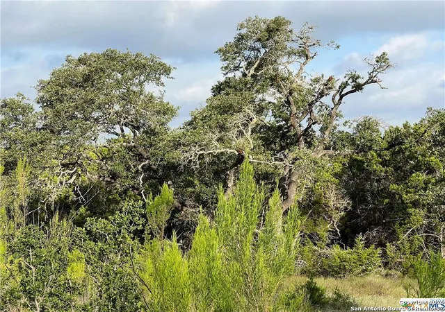 4th image of 1134 Madrone Road, Fischer, TX 78623 | MLS# 1837319