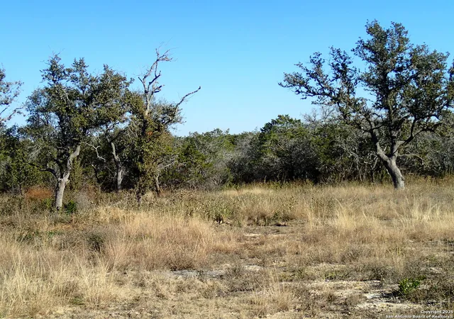 Photo 4 of Land for sale at Lot 119 Grand Oaks, Hondo, TX 78861 | MLS# 1837346 | Listing updated on 2026-01-18