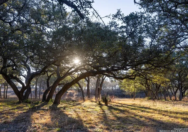 4th image of 656 Acres Ranch Road 1623, Blanco, TX 78606 | MLS# 1837663
