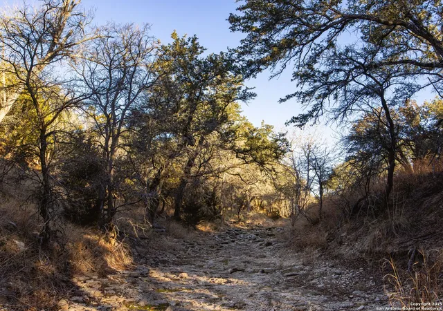 52nd image of 656 Acres Ranch Road 1623, Blanco, TX 78606 | MLS# 1837663