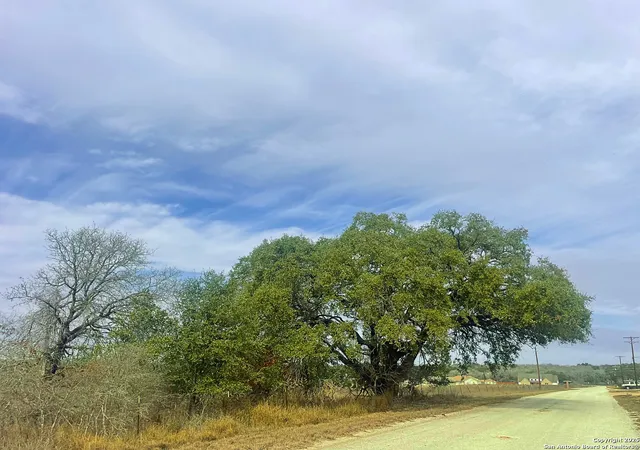 5th image of 550 Schuettig Rd, Poteet, TX 78065 | MLS# 1838578