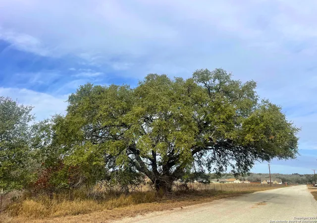 3rd image of 550 Schuettig Rd, Poteet, TX 78065 | MLS# 1838578