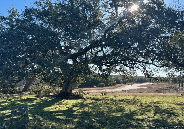 Photo 3 of Land for sale at 82 Swede Springs, Boerne, TX 78006 | MLS# 1839075 | Listing updated on 2026-08-24