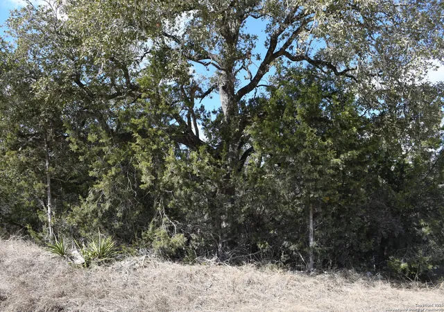 Photo 1 of Land for sale at 979 & 987 Deer Valley Pass, Spring Branch, TX 78070 | MLS# 1839819 | Listing updated on 2025-05-26