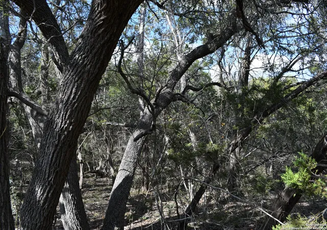 Photo 3 of Land for sale at 979 & 987 Deer Valley Pass, Spring Branch, TX 78070 | MLS# 1839819 | Listing updated on 2025-05-26