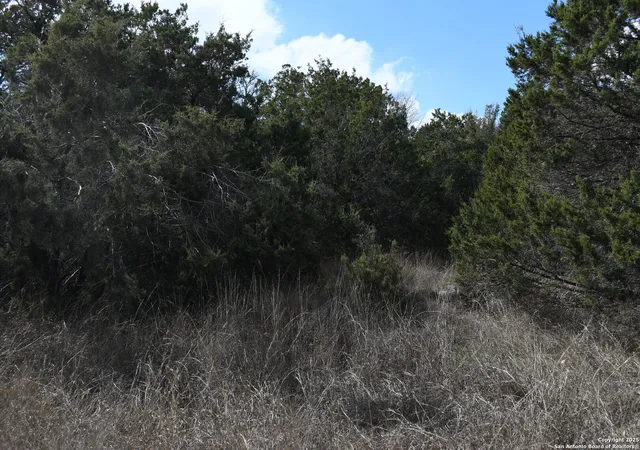 Photo 1 of Land for sale at 979 & 987 Deer Valley Pass, Spring Branch, TX 78070 | MLS# 1839819 | Listing updated on 2025-05-26