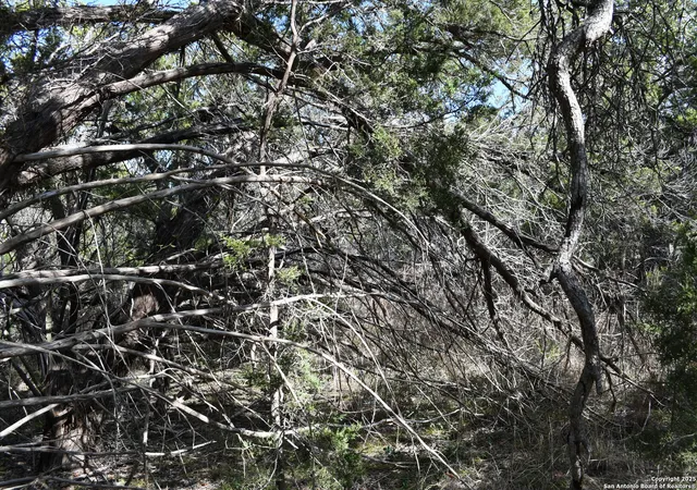 Photo 4 of Land for sale at 979 & 987 Deer Valley Pass, Spring Branch, TX 78070 | MLS# 1839819 | Listing updated on 2025-05-26