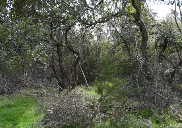 Photo 1 of Land for sale at 1738 Cave Dr, Spring Branch, TX 78070 | MLS# 1840024 | Listing updated on 2025-07-07