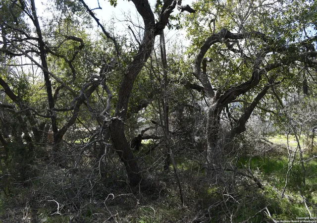 Photo 2 of Land for sale at 1738 Cave Dr, Spring Branch, TX 78070 | MLS# 1840024 | Listing updated on 2025-07-07