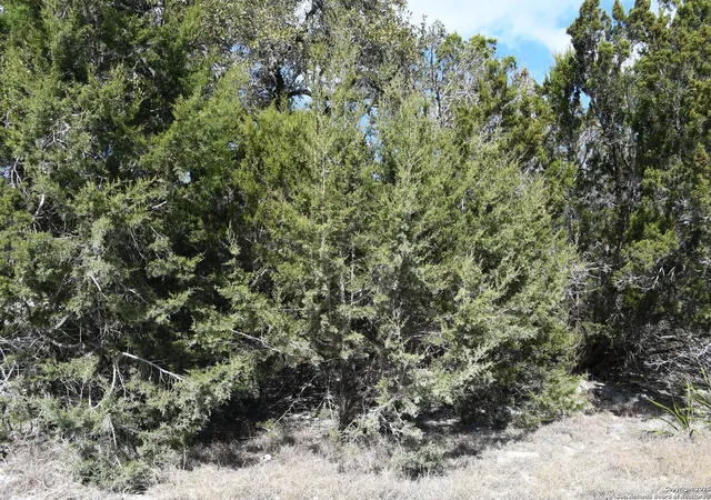 Photo 3 of Land for sale at 1738 Cave Dr, Spring Branch, TX 78070 | MLS# 1840024 | Listing updated on 2025-07-07