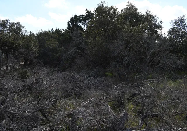 Photo 4 of Land for sale at 1738 Cave Dr, Spring Branch, TX 78070 | MLS# 1840024 | Listing updated on 2025-07-07