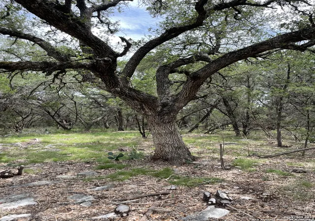 Photo 1 of Land for sale at 24814 Creek Loop, San Antonio, TX 78266 | MLS# 1840331 | Listing updated on 2025-02-17