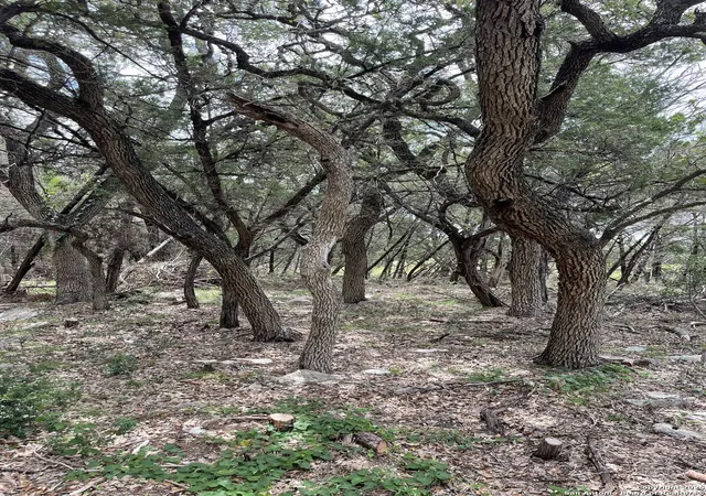 Photo 3 of Land for sale at 24814 Creek Loop, San Antonio, TX 78266 | MLS# 1840331 | Listing updated on 2025-02-17