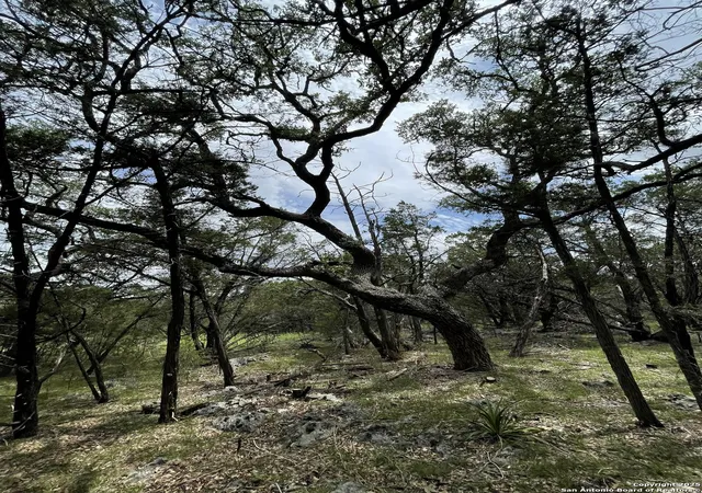 Photo 4 of Land for sale at 24814 Creek Loop, San Antonio, TX 78266 | MLS# 1840331 | Listing updated on 2025-02-17