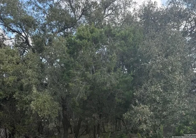 5th image of 686 Hillclimb, Canyon Lake, TX 78133 | MLS# 1841255