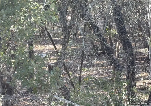 3rd image of 686 Hillclimb, Canyon Lake, TX 78133 | MLS# 1841255
