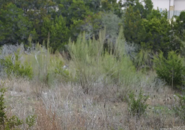 Photo 4 of Land for sale at 1240 Rose Ln, Canyon Lake, TX 78133 | MLS# 1841744 | Listing updated on 2025-12-29