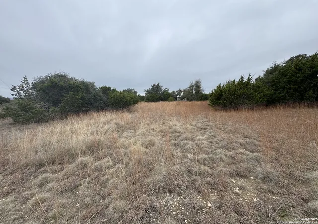 4th image of 0 Jacob Dearing, Blanco, TX 78606 | MLS# 1842660