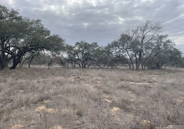 4th image of Tract 11 County Road 777, Devine, TX 78016 | MLS# 1843018