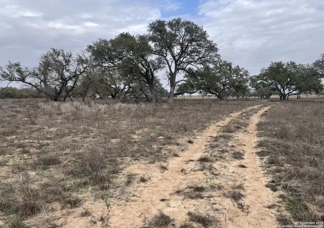 5th image of Tract 11 County Road 777, Devine, TX 78016 | MLS# 1843018