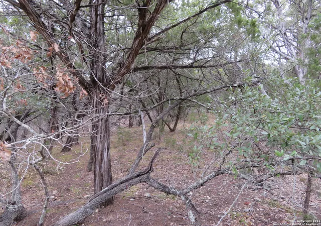 7th image of Lot 216,217,& West Slop Trail, Pipecreek, TX 78063 | MLS# 1844383