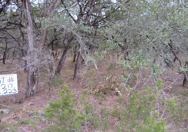 4th image of Lot 216,217,& West Slop Trail, Pipecreek, TX 78063 | MLS# 1844383