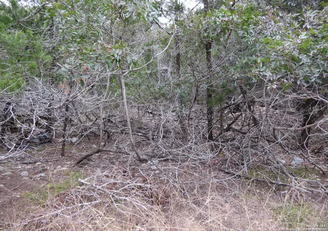 4th image of Lot 238-241 Hilltop Loop, Pipecreek, TX 78063 | MLS# 1844384