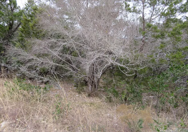3rd image of Lot 173-176 & Hilltop Loop, Pipecreek, TX 78063 | MLS# 1844394
