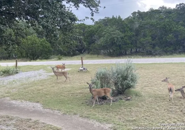 Photo 2 of Sale Pending at 1049 Summit Ridge, New Braunfels, TX 78132 | MLS# 1845272 | Listing updated on 2025-11-26