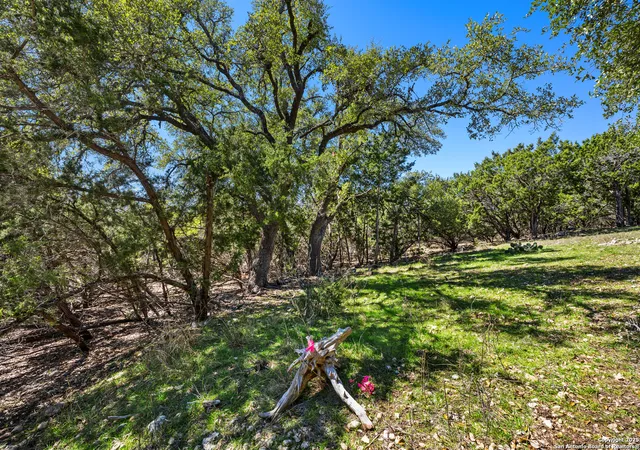 Photo 3 of Land for sale at 541 Herauf, Canyon Lake, TX 78133 | MLS# 1845314 | Listing updated on 2026-02-23
