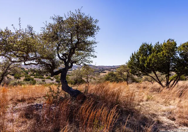 Photo 3 of Land for sale at 717 N Scenic Hills, Blanco, TX 78606 | MLS# 1845819 | Listing updated on 2025-09-06