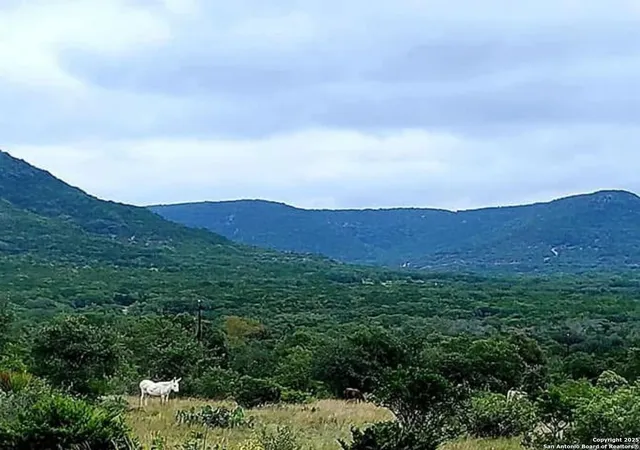 Homes for sale in Utopia, TX | 3049 N Little Creek Rd, Utopia, TX 78884 | MLS# 1846126