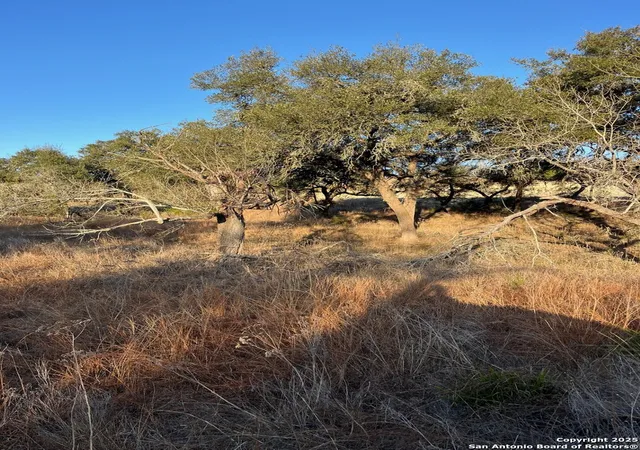Photo 4 of Land for sale at 3524 Comal Spgs, Canyon Lake, TX 78133 | MLS# 1846199 | Listing updated on 2025-12-03